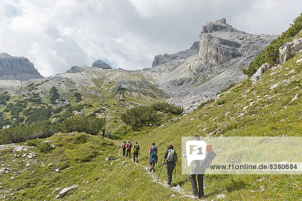 Hikers on a trail  Brenta crossing at the Passo della Gaiarda  Mt Cima Gaiarda  Brenta Mountains  near Molveno  South Tyrol province  Trentino-Alto Adige  Italy