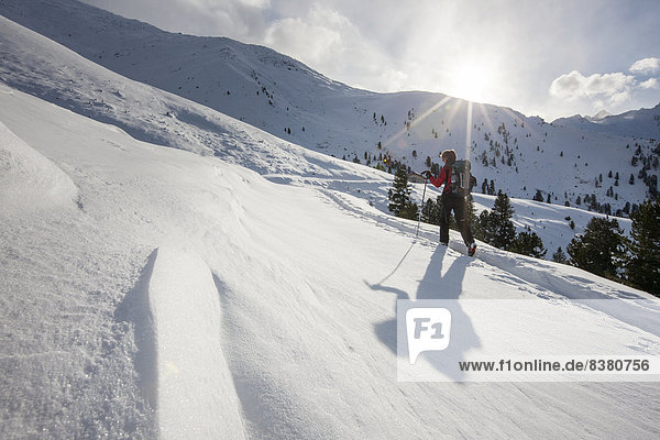 Skitourengeherin beim Aufstieg nach der Baumgrenze  bei Kühtai  Tirol  Österreich