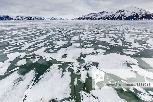 Wasserrand  Europa  Geschwindigkeit  Eis  Norwegen  Jahreszeit  Spitzbergen  Erinnerung  Skandinavien  Svalbard