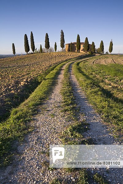 Iconic Tuscan Farmhouse  Val d' Orcia  UNESCO World Heritage Site  Tuscany  Italy  Europe