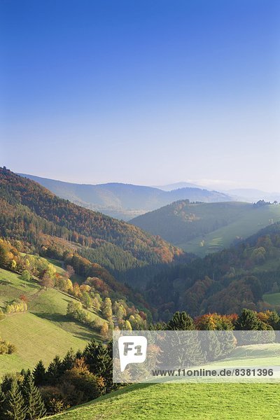 Europa  über  Tal  Herbst  Ansicht  Schwarzwald  Deutschland