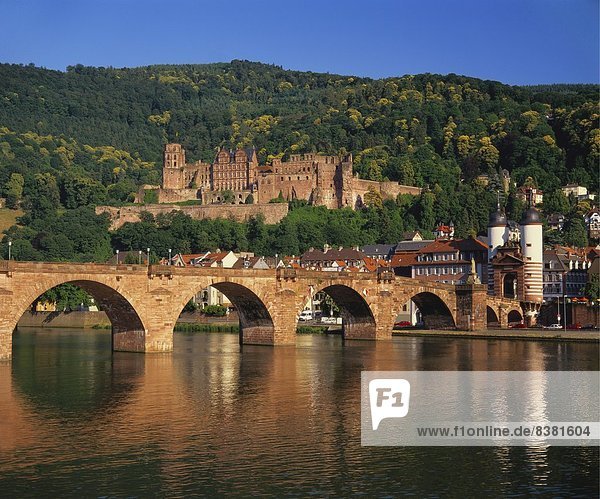 Heidelberger Schloss  Alte Brücke und am Neckar  Heidelberg  Baden Württemberg  Deutschland