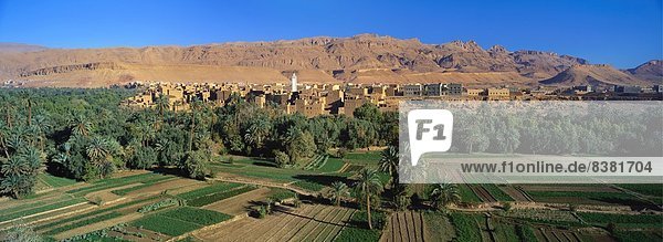 Tinerhir  Dades Tal  Marokko  Afrika