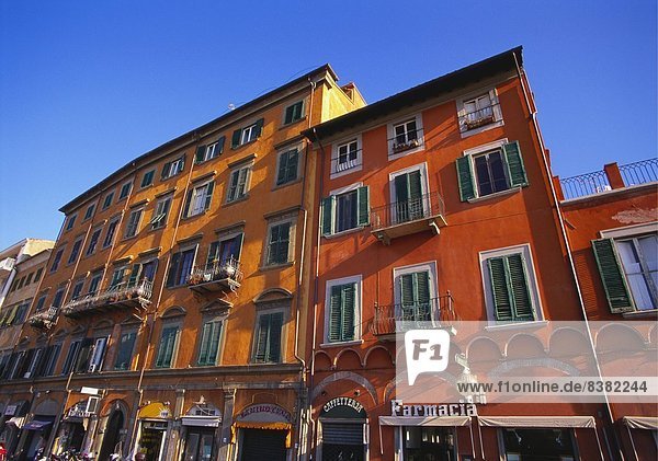 Colourful Buildings in Pisa  Tuscany  Italy