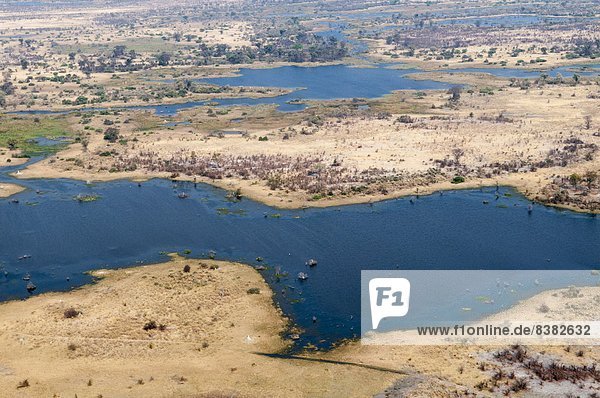 Aerial view of Okavango delta  Botswana  Africa