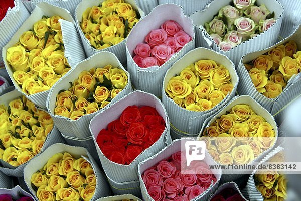 Flowers for sale  Delhi  India  Asia