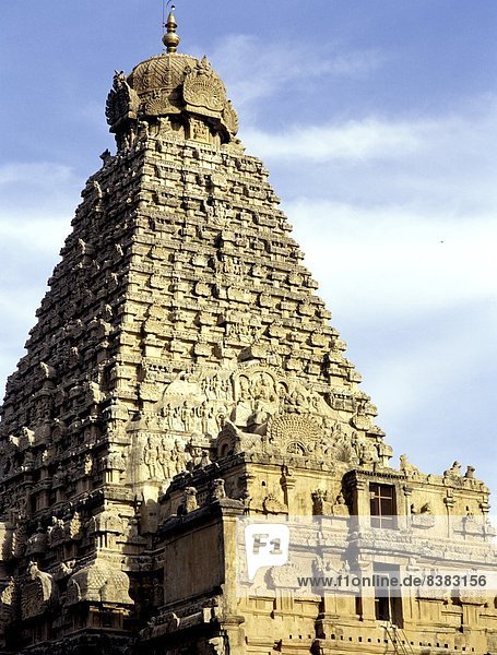 Brahadeeshwara Temple  UNESCO World Heritage Site  Thanjavur  Tamil Nadu  India  Asia