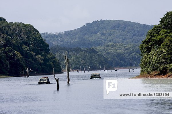 Boating  Periyar Tiger Reserve  Thekkady  Kerala  India  Asia
