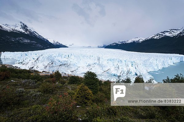 Perito Moreno Glacier  Los Glaciares National Park  UNESCO World Heritage Site  Patagonia  Argentina  South America