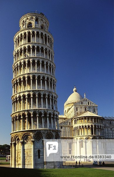 Lehnender Turm von Pisa und Pisa-Kathedrale  Piazza del Duomo  Pisa  Toskana  Italien