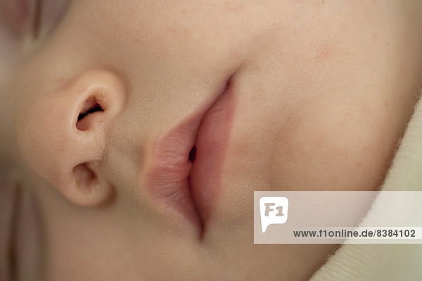 Nahaufnahme von Mund und Nase des Babys  beschnitten