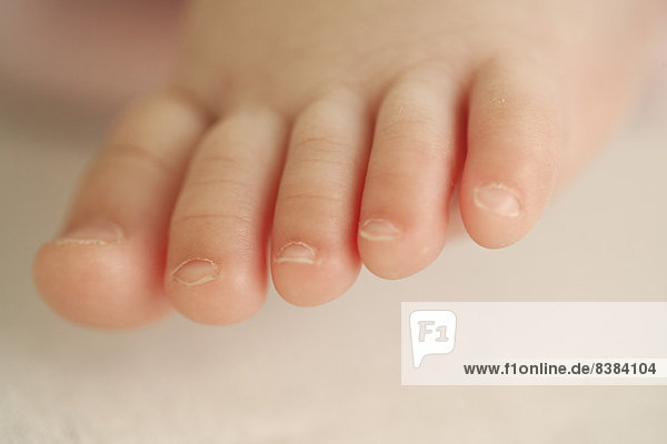 Close-up of baby's foot  cropped