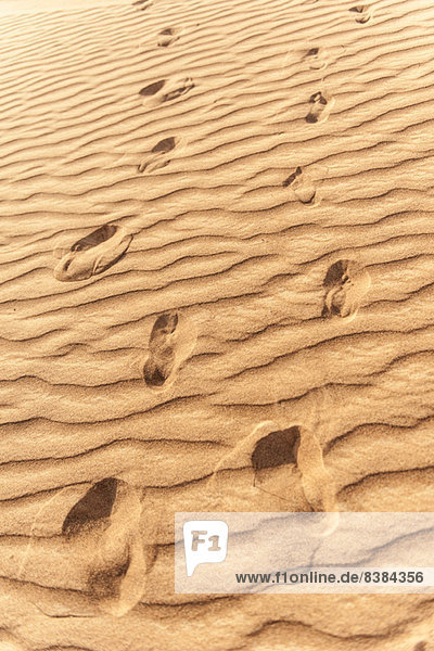 Fußabdrücke im geriffelten Sand