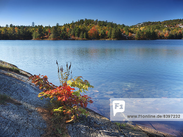 Acid Lake in autumn Killarney Provincial Park Ontario Canada