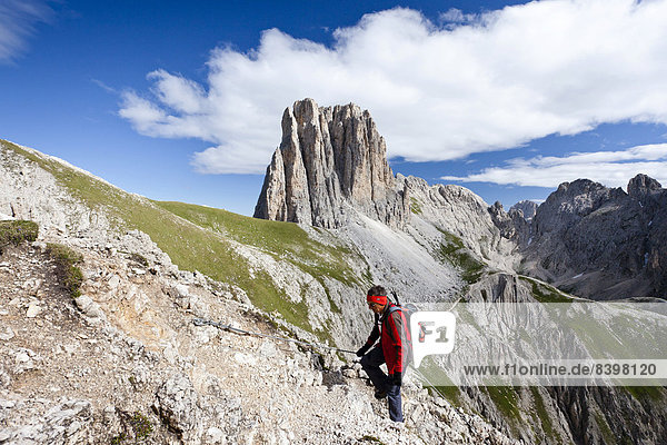 Climber on the Croda Rossa Via Ferrata  Mt Tscheinerspitze at back  Dolomites  Trentino-Alto Adige  Italy