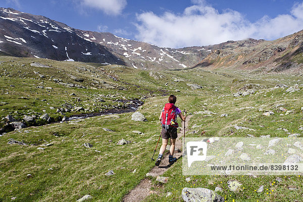 Female hiker in the Ulten Valley or Val d'Ultimo  summit of Mt Gleckspitz at back  South Tyrol  Trentino-Alto Adige  Italy