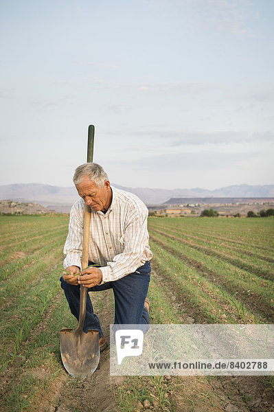 Caucasian farmer planting seeds in crop field