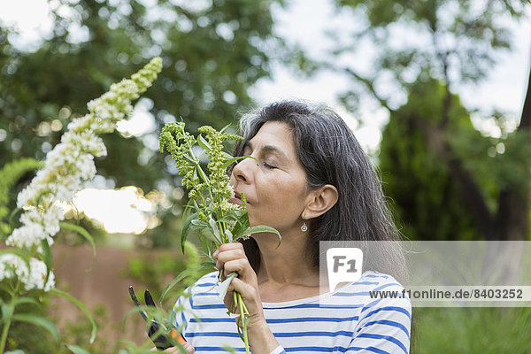 stinken Frau Blume Hispanier Garten riechen