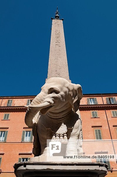 Rom  Hauptstadt  Skulptur  Elefant  Platz  Italien  Obelisk