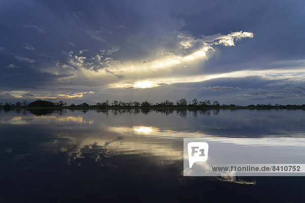 Abendstimmung an einem zum See verbreiterten Teil des Amazonas oder Rio Solimões  Naturschutzgebiet Mamirauá  bei Manaus  Amazonas  Brasilien
