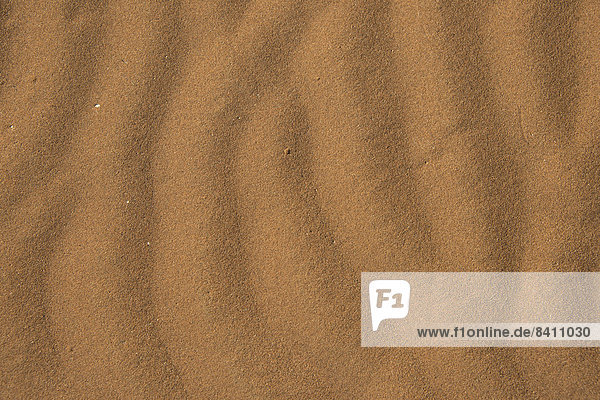 Wellenmuster im Sand  Sossusvlei  Namib Naukluft Park  Namibia