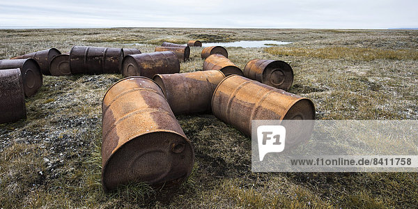 Rostige Fässer in der Tundra  Wrangelinsel  Tschukotka  Russland