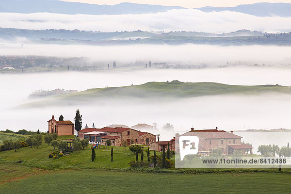 Nebelschwaden in den Tälern um Podere Baccoleno  Chiusure  Arbia  Toskana  Italien