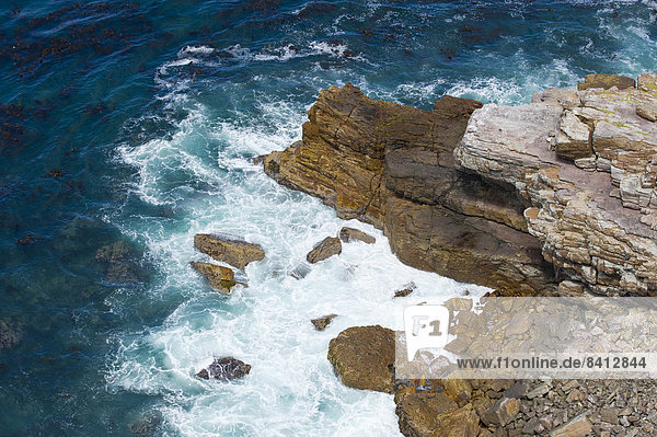 Cape Point the most south-westerly tip of the African continent  Cape of Good Hope Nature Reserve  Western Cape  South Africa
