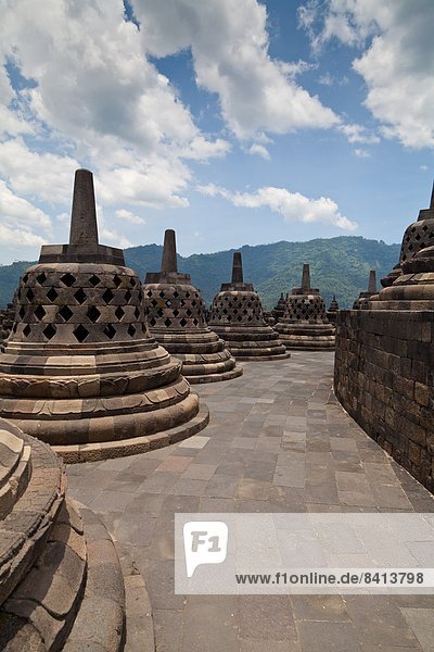 Stupas des Borobudur  Java  Indonesien  Asien