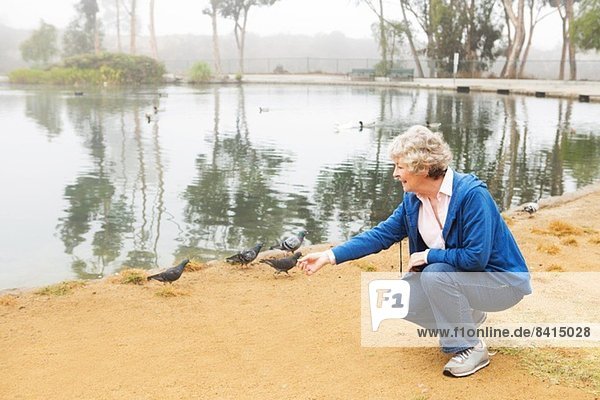 Seniorin beim Füttern von Tauben am See