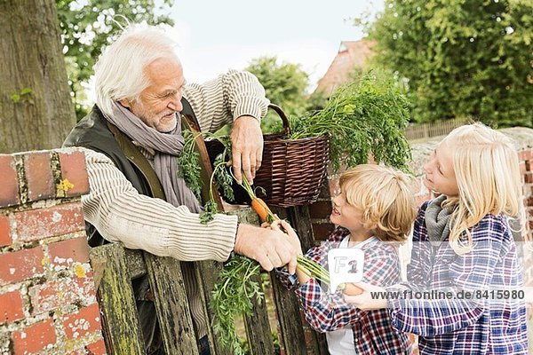 Großvater und Enkelkinder am Tor mit Karotten