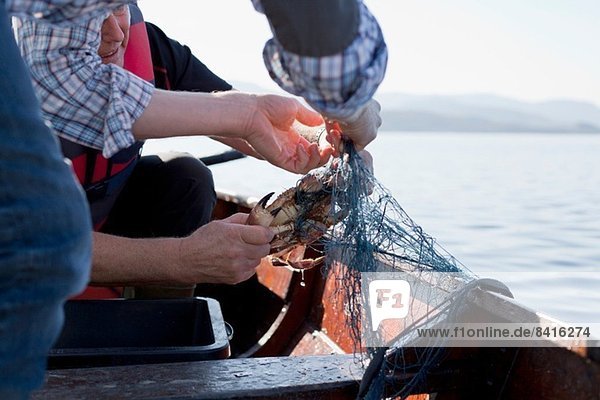 Menschen auf dem Boot beim Krabbenfischen  Aure  Norwegen