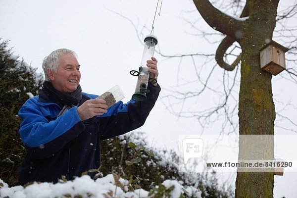 Senior man filling bird feeders in garden in winter
