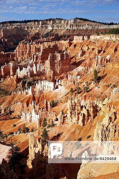 Vereinigte Staaten von Amerika  USA  Felsbrocken  Bryce Canyon Nationalpark  Schlucht  Utah