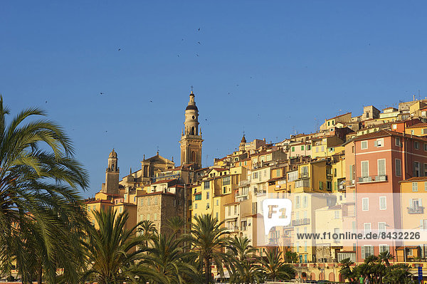 Menton  France  Europe  South of France  Cote d'Azur  town view  town  city  outside  day