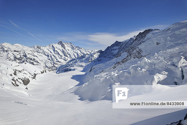 Switzerland  Europe  canton  canton Bern  Bernese Oberland  virgin's area  ice  Eigergletscher  glacier  snow
