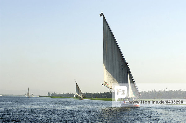 Reise  Fluss  Naher Osten  Afrika  Ägypten  Feluke  Luxor