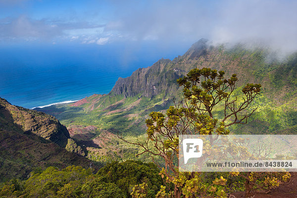 Vereinigte Staaten von Amerika USA Amerika Küste Meer Aussichtspunkt Pazifischer Ozean Pazifik Stiller Ozean Großer Ozean Hawaii Kauai