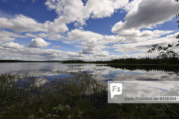 Svegsjön  lake  clouds  reflections  sedges  Mossåt  Jämtland  scenery  Sweden