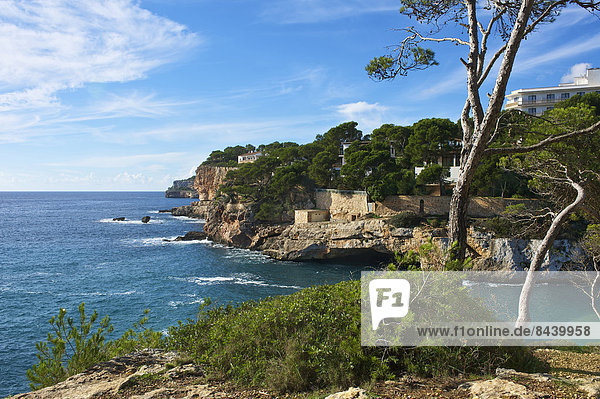 Außenaufnahme Landschaftlich schön landschaftlich reizvoll Europa Landschaft Küste niemand Meer Balearen Balearische Inseln Bucht Mallorca Mittelmeer Spanien