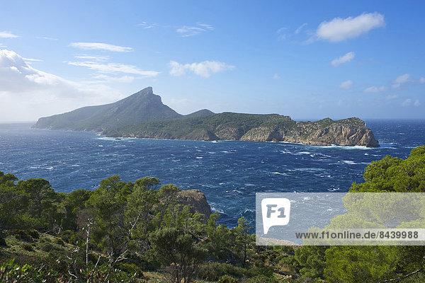 Außenaufnahme Landschaftlich schön landschaftlich reizvoll Europa Landschaft Küste niemand Meer Natur Insel Balearen Balearische Inseln Mallorca Mittelmeer Sa Dragonera Spanien
