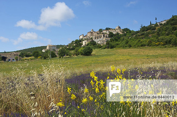 France  Europe  Provence  South of France  lavender  lavender blossom  lavender field  lavender fields  scenery  landscape  agriculture  agricultural  place of interest  outside  day  nobody  field  fields  Simiane la Rotonde  village