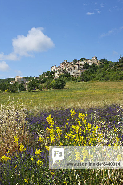France  Europe  Provence  South of France  lavender  lavender blossom  lavender field  lavender fields  scenery  landscape  agriculture  agricultural  place of interest  outside  day  nobody  field  fields  Simiane la Rotonde  village