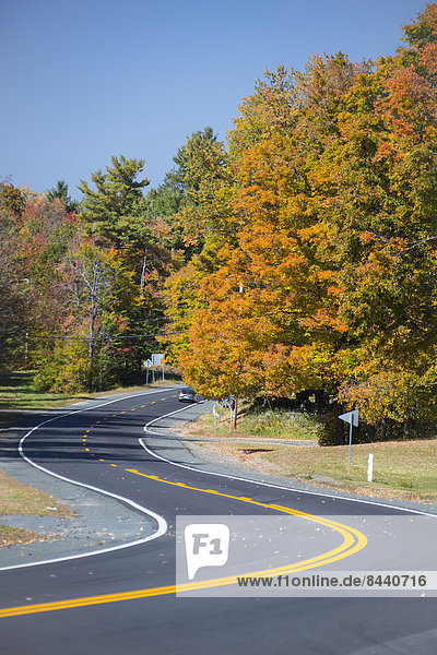 Autumn  Berkshire  Massachusetts  USA  United States  America  colourful  curve  highway  nature  New England  red  touristic  travel  wood