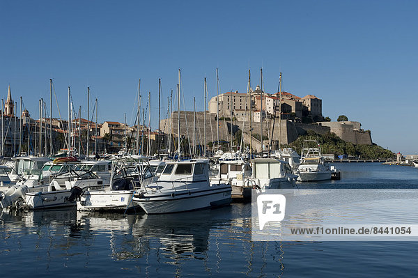 Hafen  Motorjacht  Frankreich  Europa  Boot  Altstadt  Festung  Calvi  Korsika