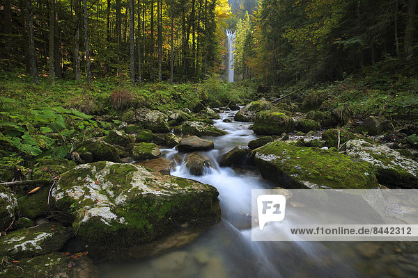 Helligkeit  Wasser  Europa  Fortbewegung  Stein  fließen  Fluss  Herbst  Bach  Wasserfall  Laub  Moos  Klamm  Schweiz