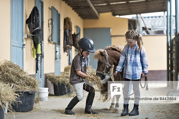 Boy and Girl at riding stable with mini shetland pony