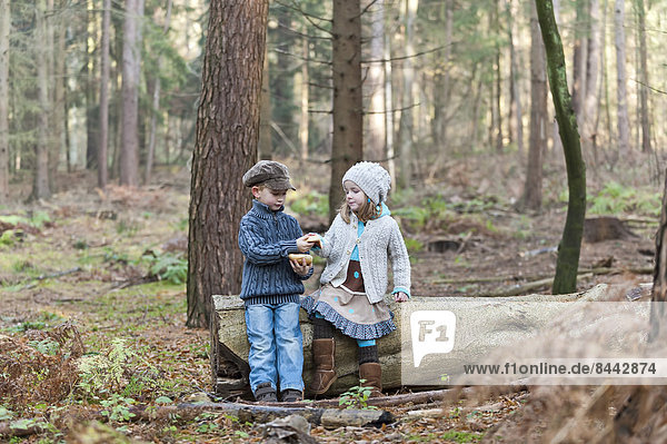 Germany  North Rhine-Westphalia  Moenchengladbach  Scene from fairy tale Hansel and Gretel  brother and sister eating bread in the woods