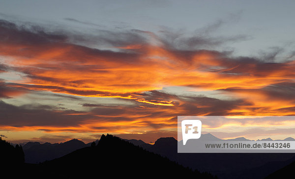 Deutschland  Bayern  Oberbayern  Chiemgau  Sonnenuntergang