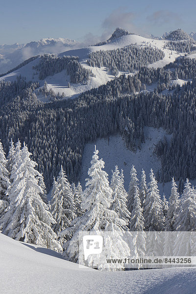 Germany  Bavaria  Sudelfeld  Mountains in winter
